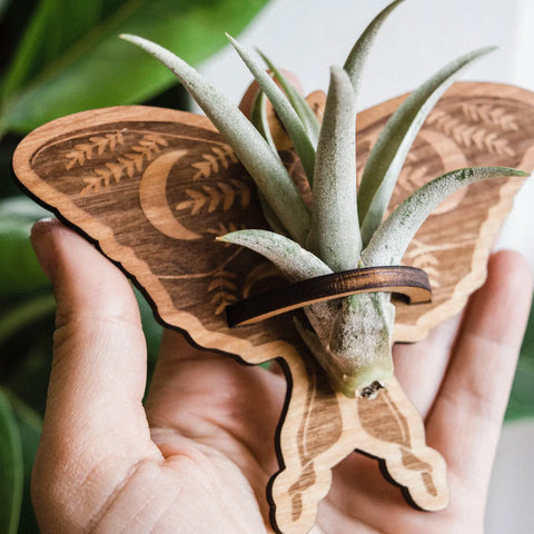 luna moth handmade wood magnet