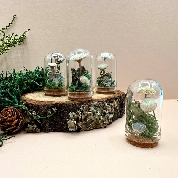 petite mini world