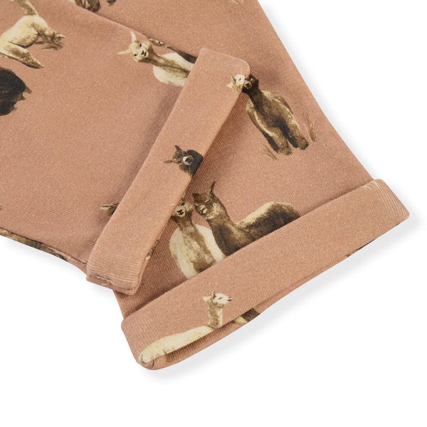alpaca  baby joggers