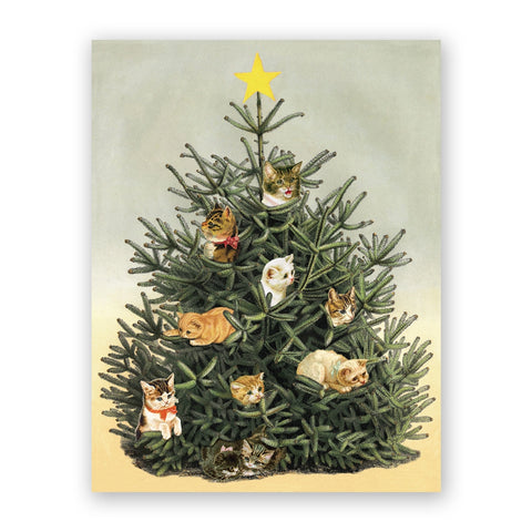 cat christmas greeting card