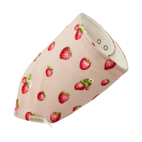 strawberry bib