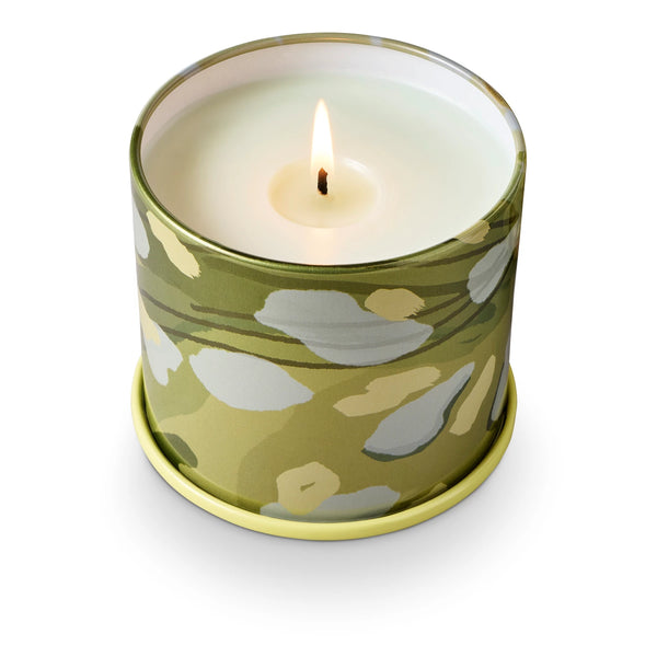 borealis moss candle