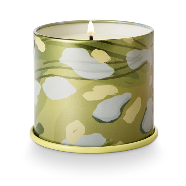 borealis moss candle