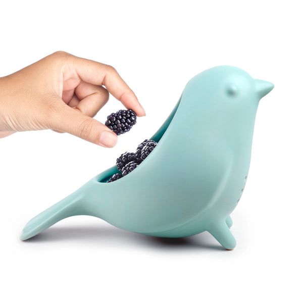 fred's blue bird