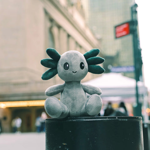 axol the axolotl plushie