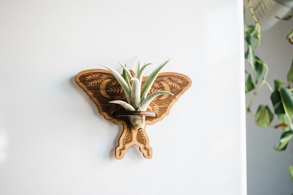 luna moth handmade wood magnet