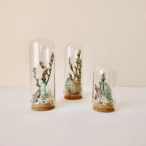 zen mini world terrarium