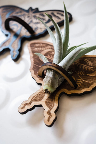 luna moth handmade wood magnet