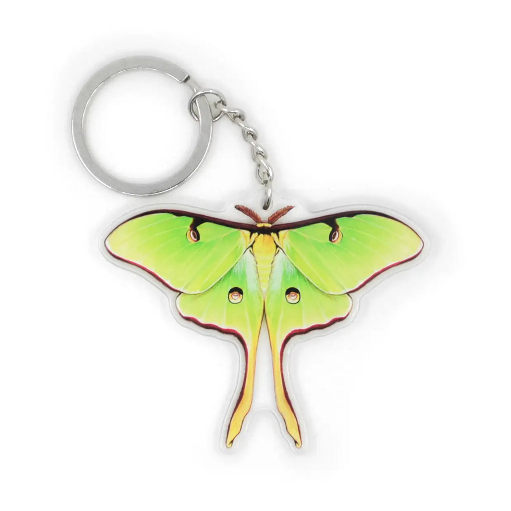 luna moth keychain