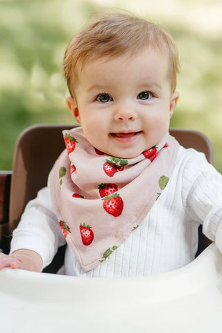 strawberry bib