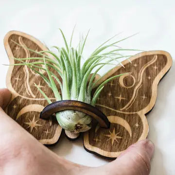 butterfly hand made wood magnet