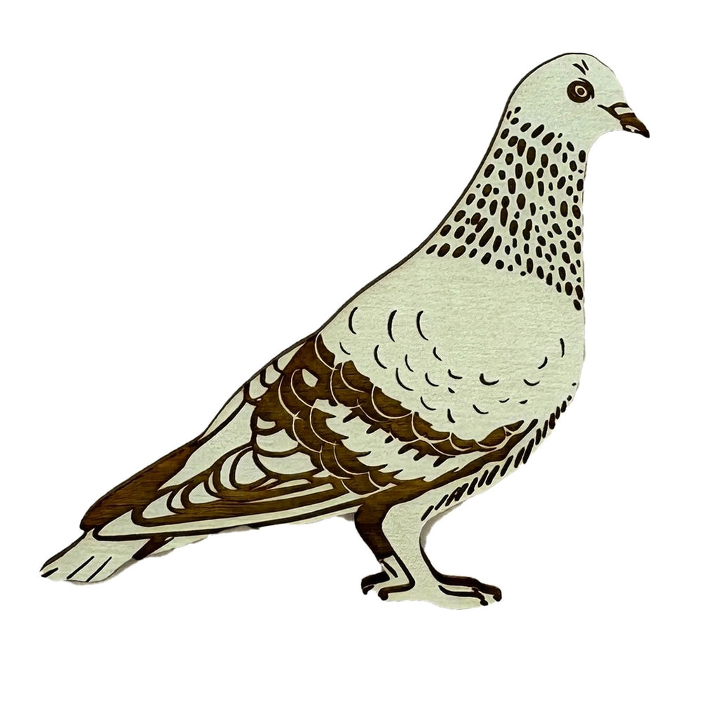 pigeon magnet- seafoam