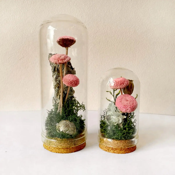 pink mushroom fields mini terrarium