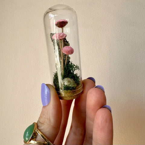 pink mushroom fields mini terrarium