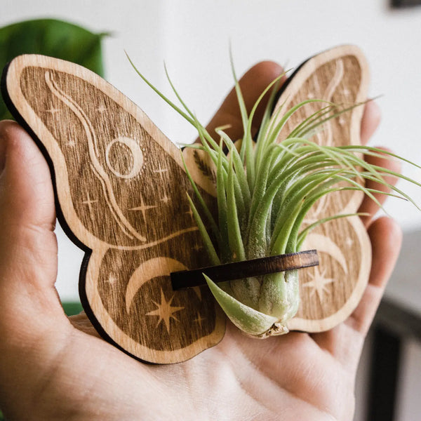 butterfly hand made wood magnet