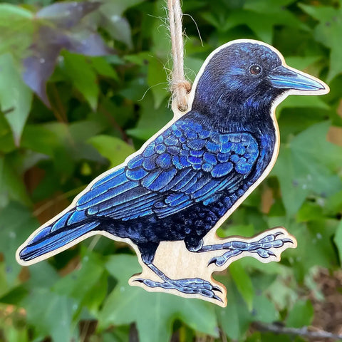 all soulful blackbird