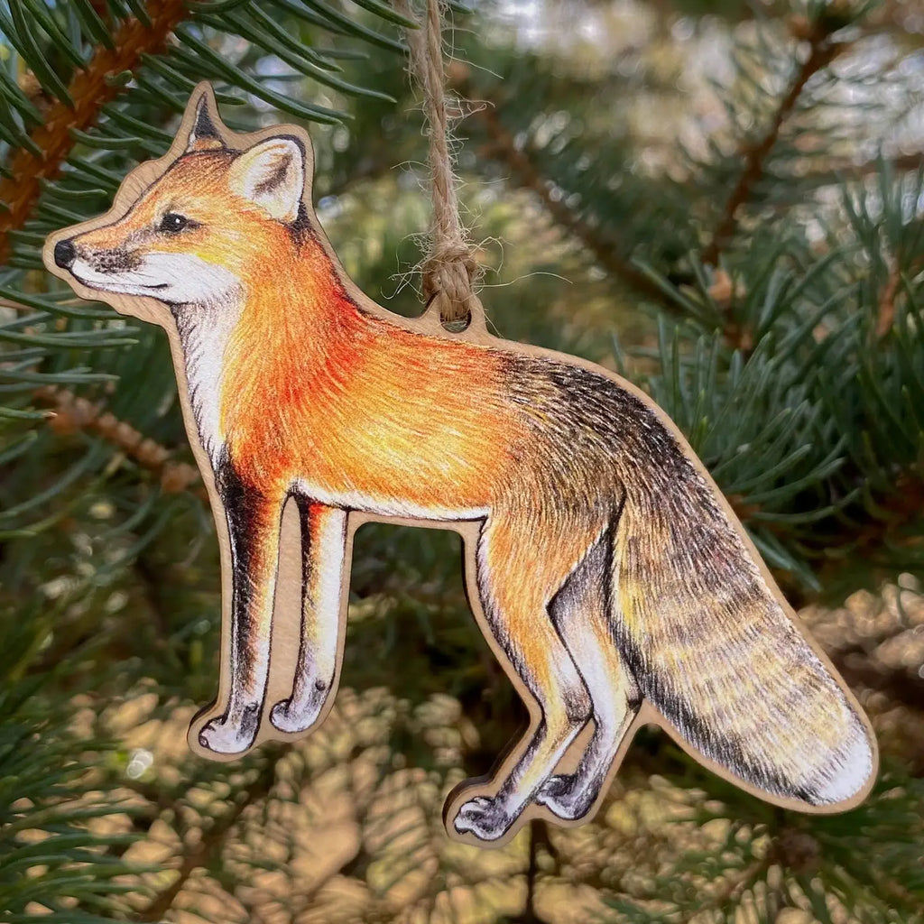 mr.fox knows he's handsome