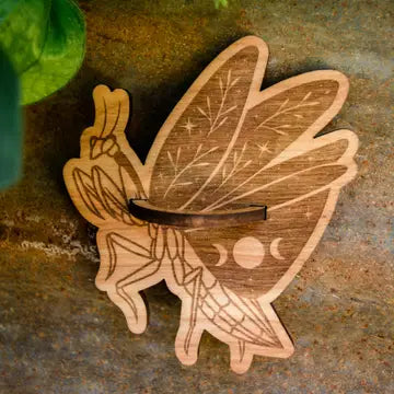 magnet wood praying mantis