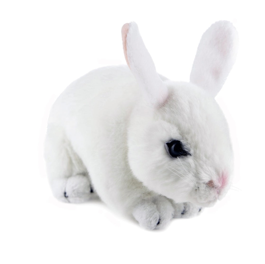cotton the white rabbit