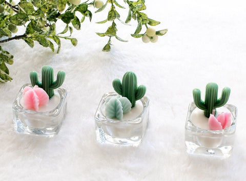 cactus & succulent tealight candle