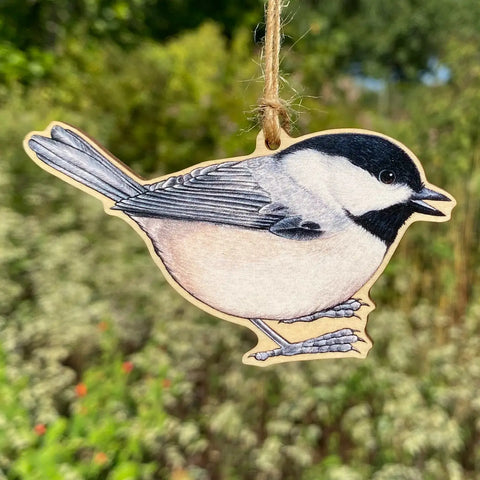 chickadee dee dee