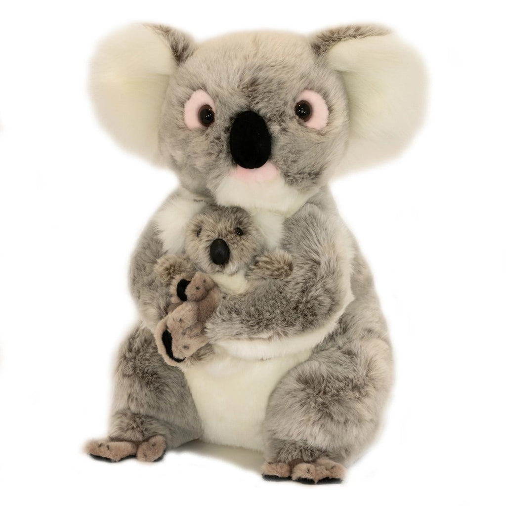 willow and hannah koala
