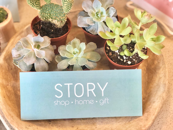 Story boutique gift certificates $25-$150